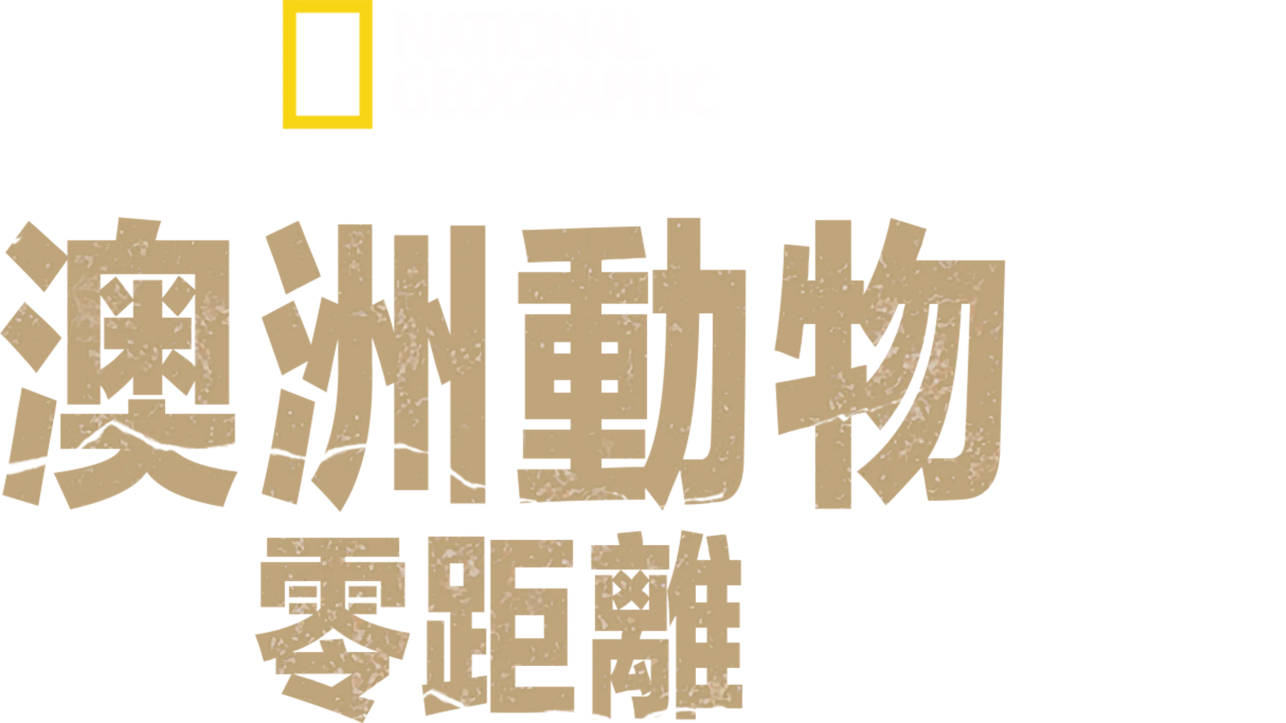 澳洲動物零距離