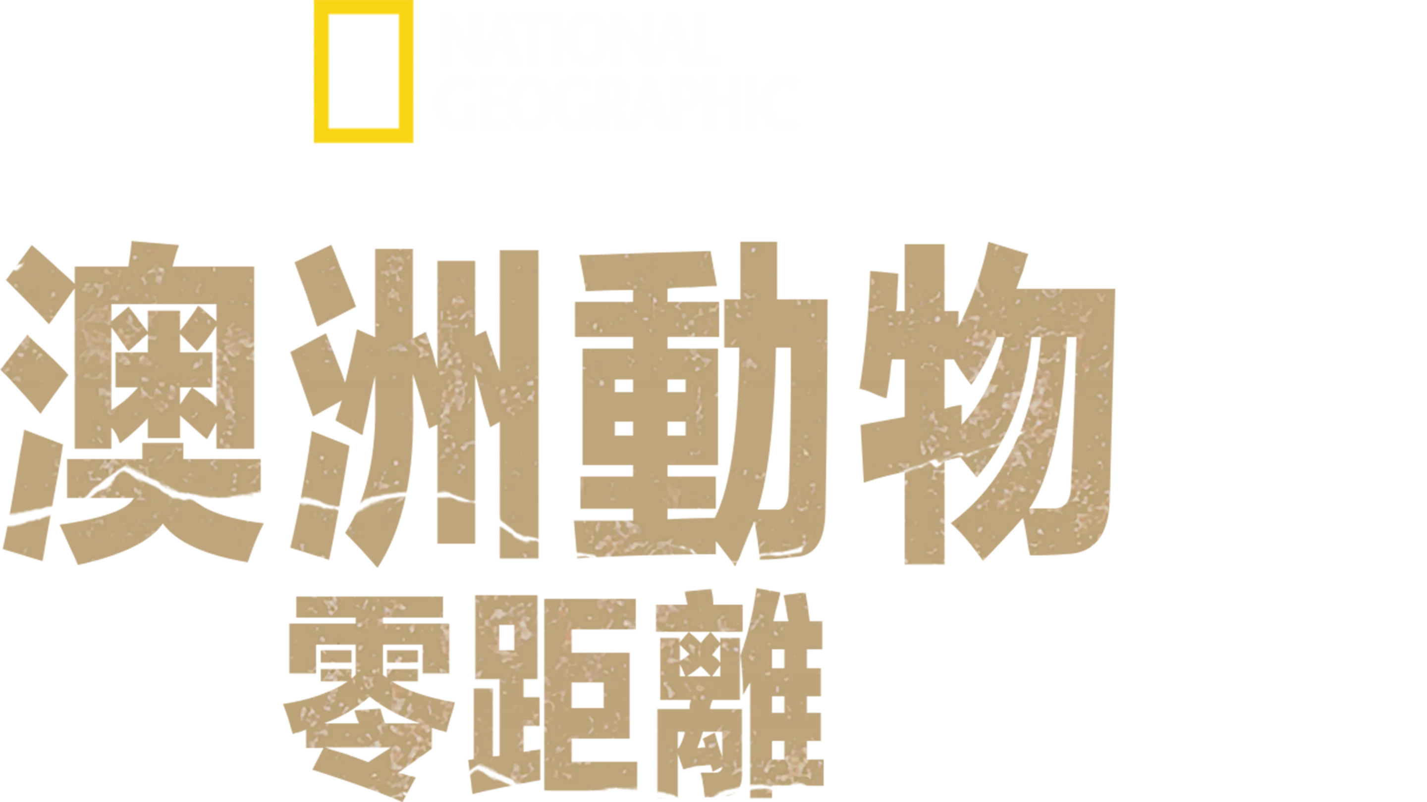 澳洲動物零距離