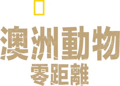 澳洲動物零距離