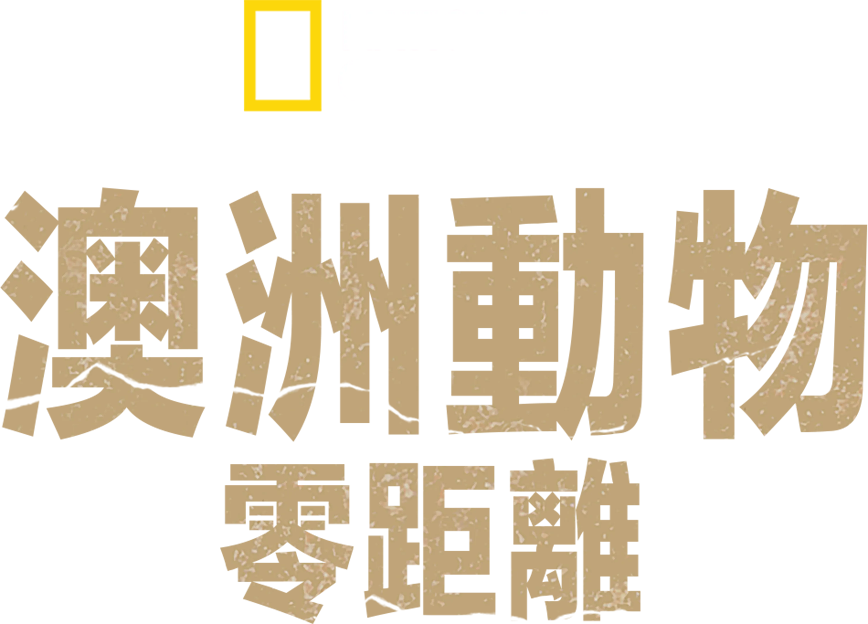 澳洲動物零距離