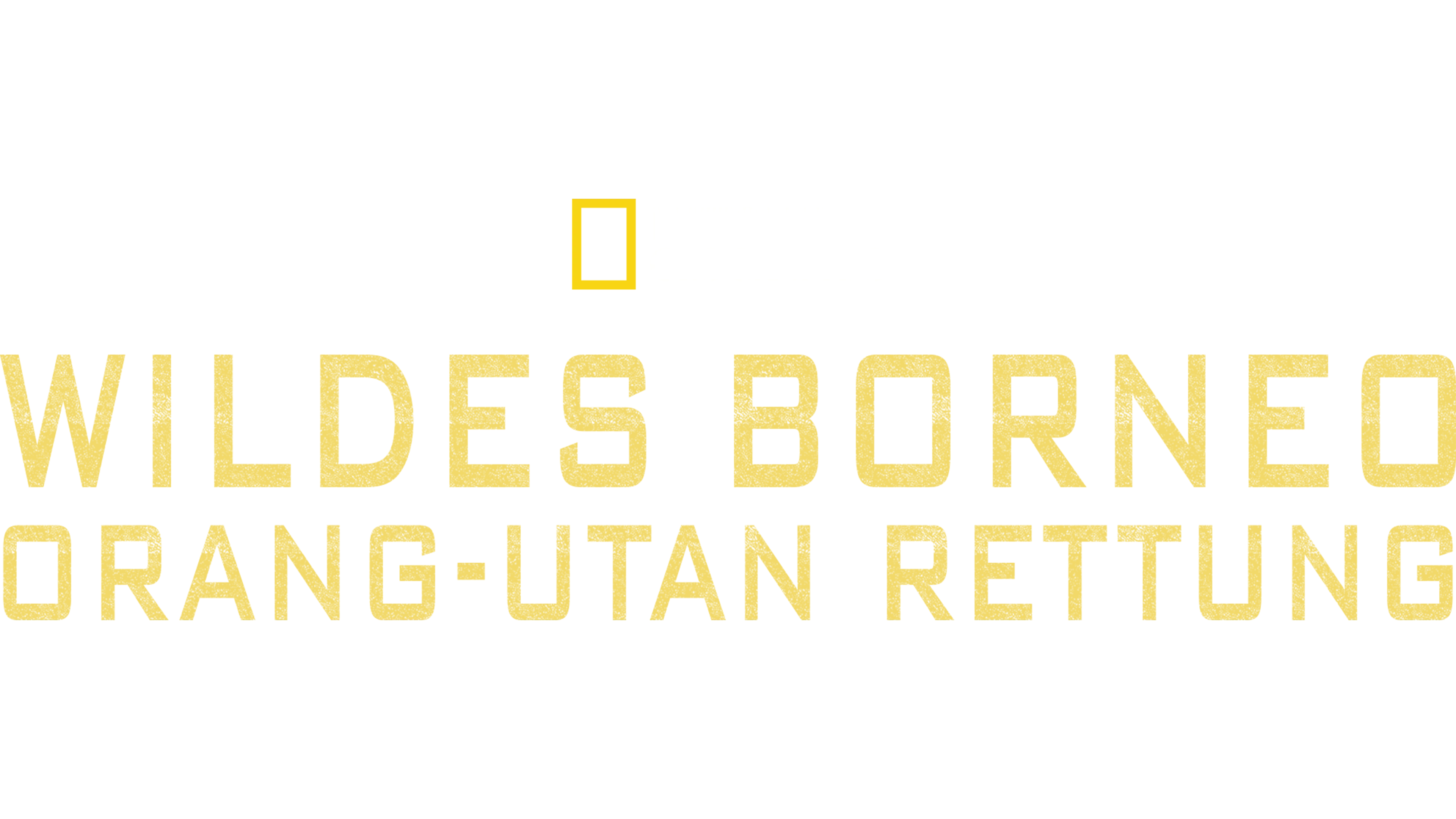 Wildes Borneo: Orang-Utan Rettung