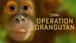 thumbnail - Operation Orangutan