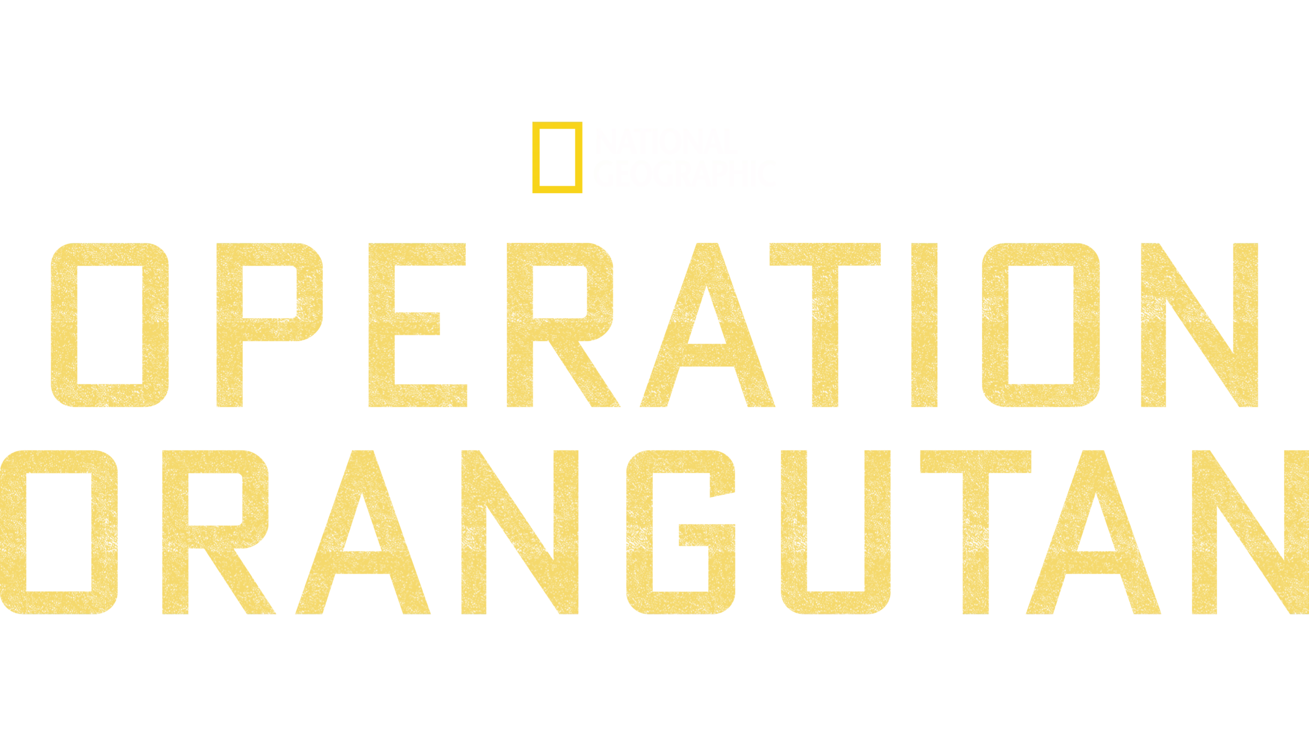 Operation Orangutan