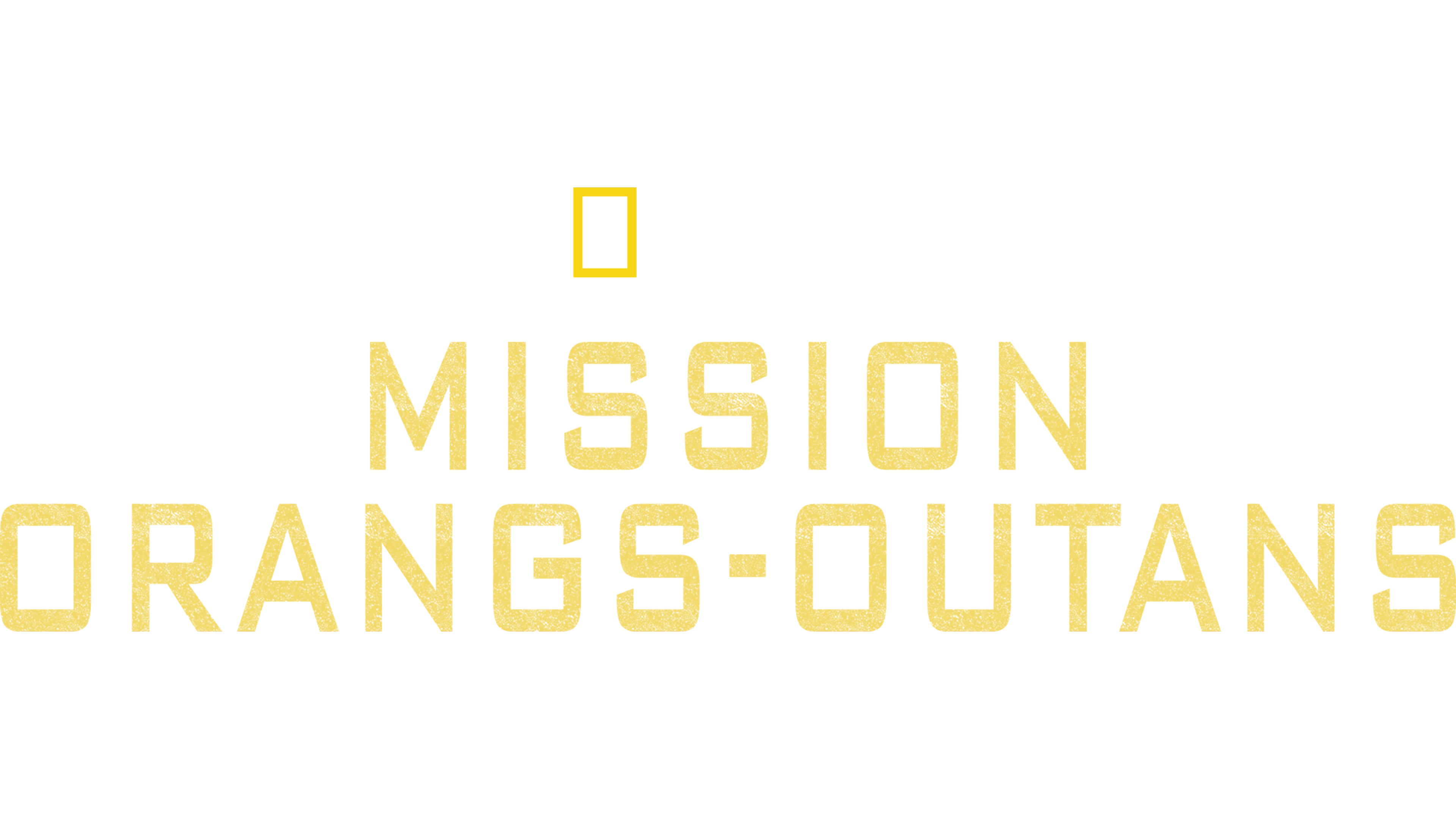 Mission orangs-outans