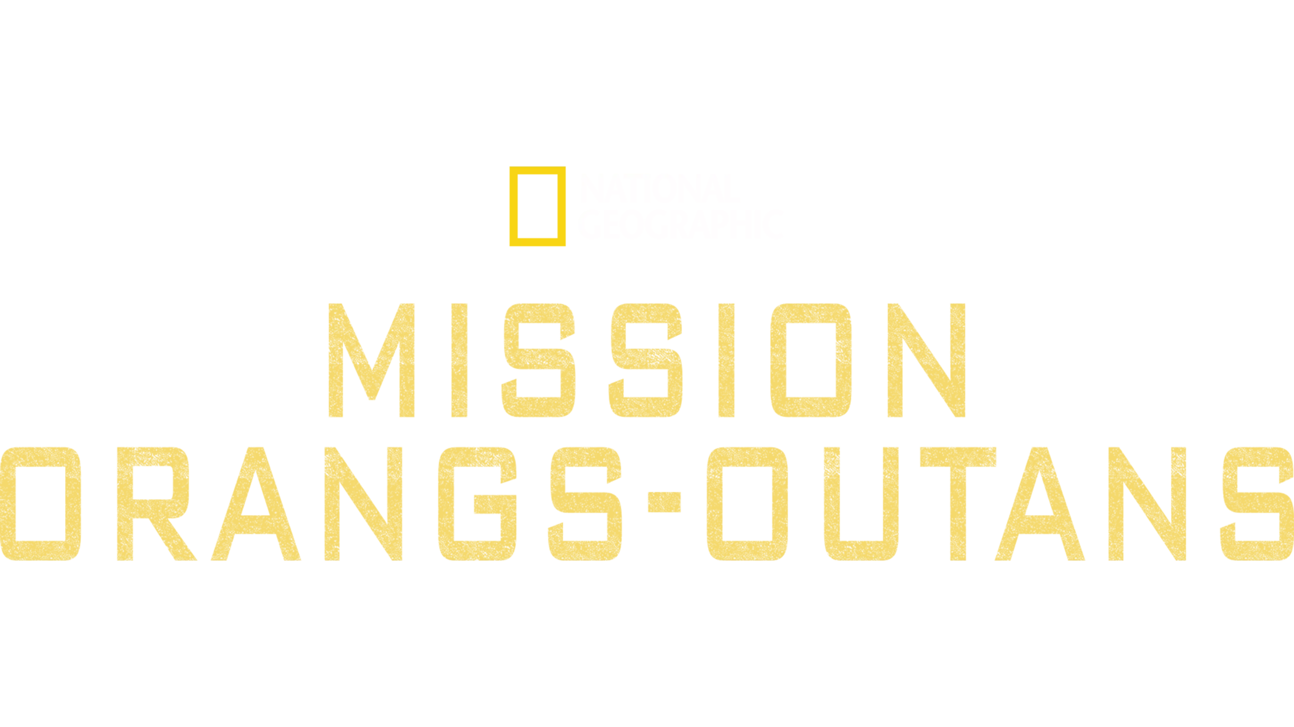 Mission orangs-outans