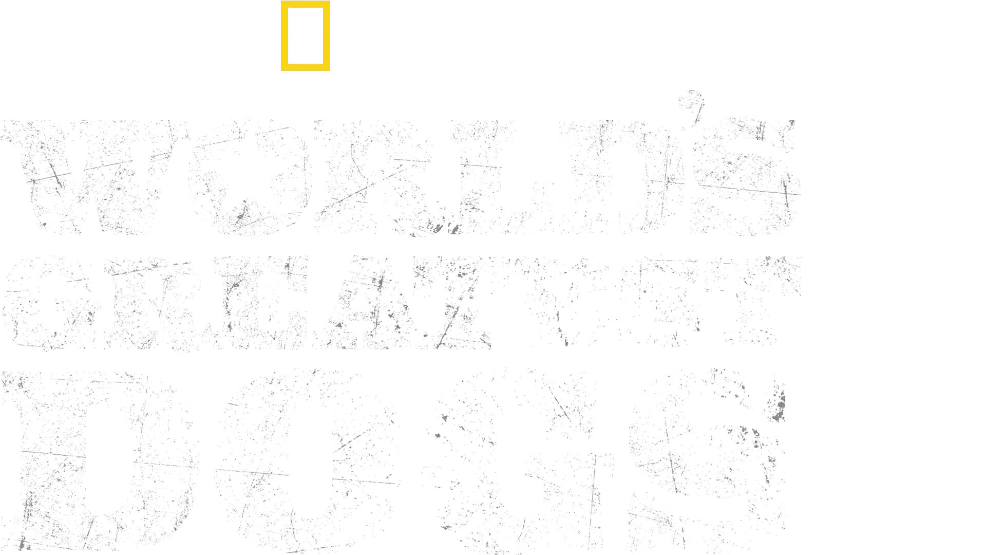 World's Greatest Dogs