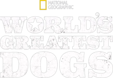 World's Greatest Dogs