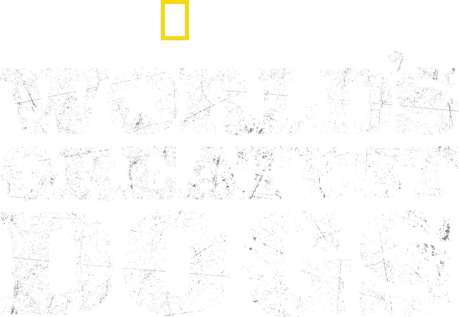World's Greatest Dogs