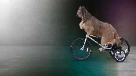 World's Greatest Dogs