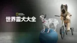 thumbnail - 世界靈犬大全
