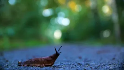 thumbnail - S3:E4 Gross But Good