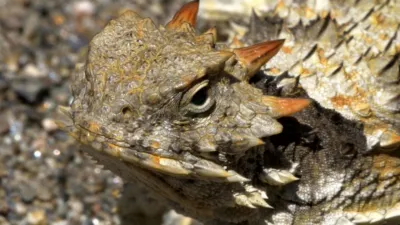 thumbnail - S3:E2 Ultimate Defenders