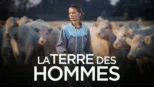 thumbnail - La Terre des hommes