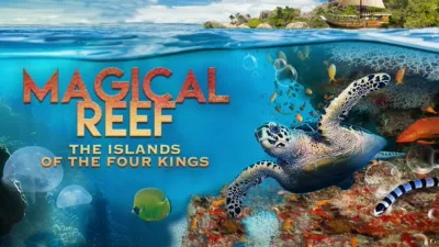 Magical Reef: The Island of the Four Kings