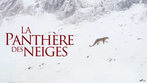 thumbnail - The Velvet Queen