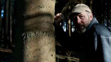 The Raven On The Jetty