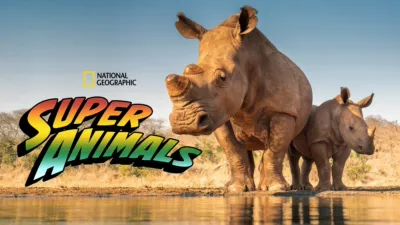 Super Animals