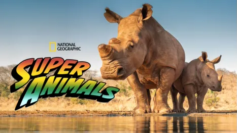 thumbnail - Super Animals