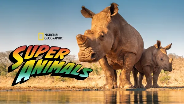 thumbnail - Super Animals