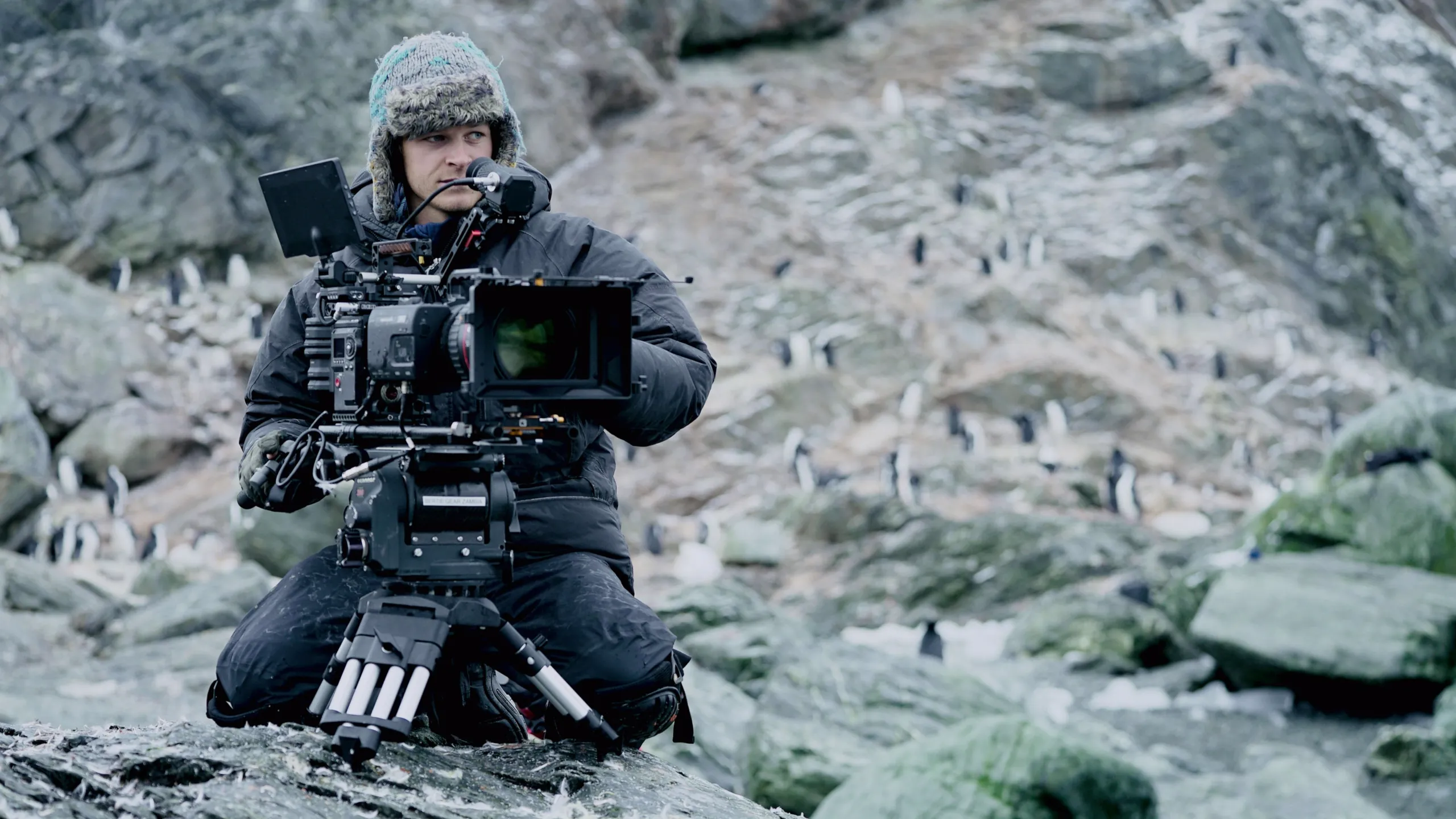 thumbnail - S1:E1 Tracking Ocean Giants