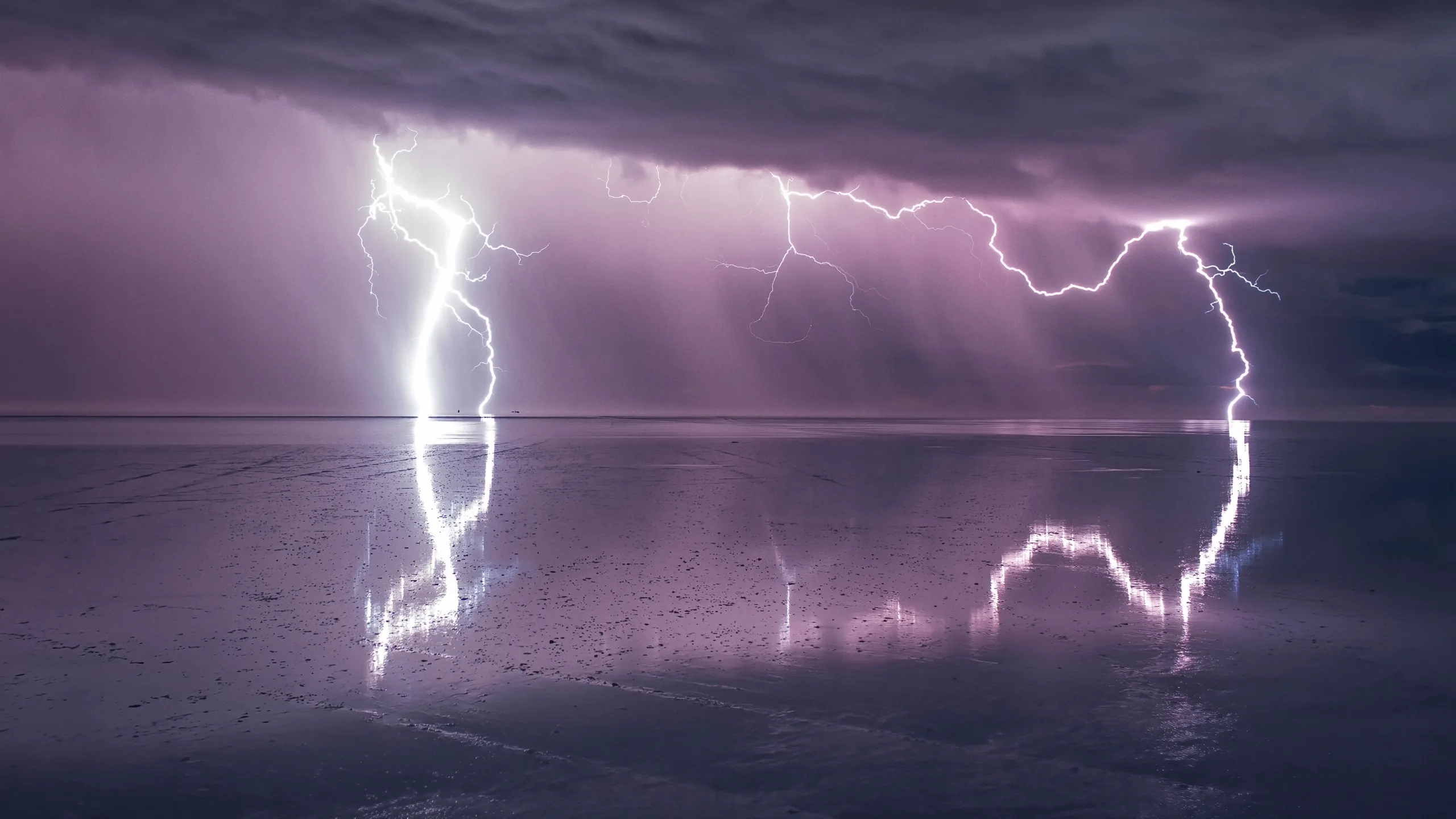 thumbnail - S1:E5 Speed of Life