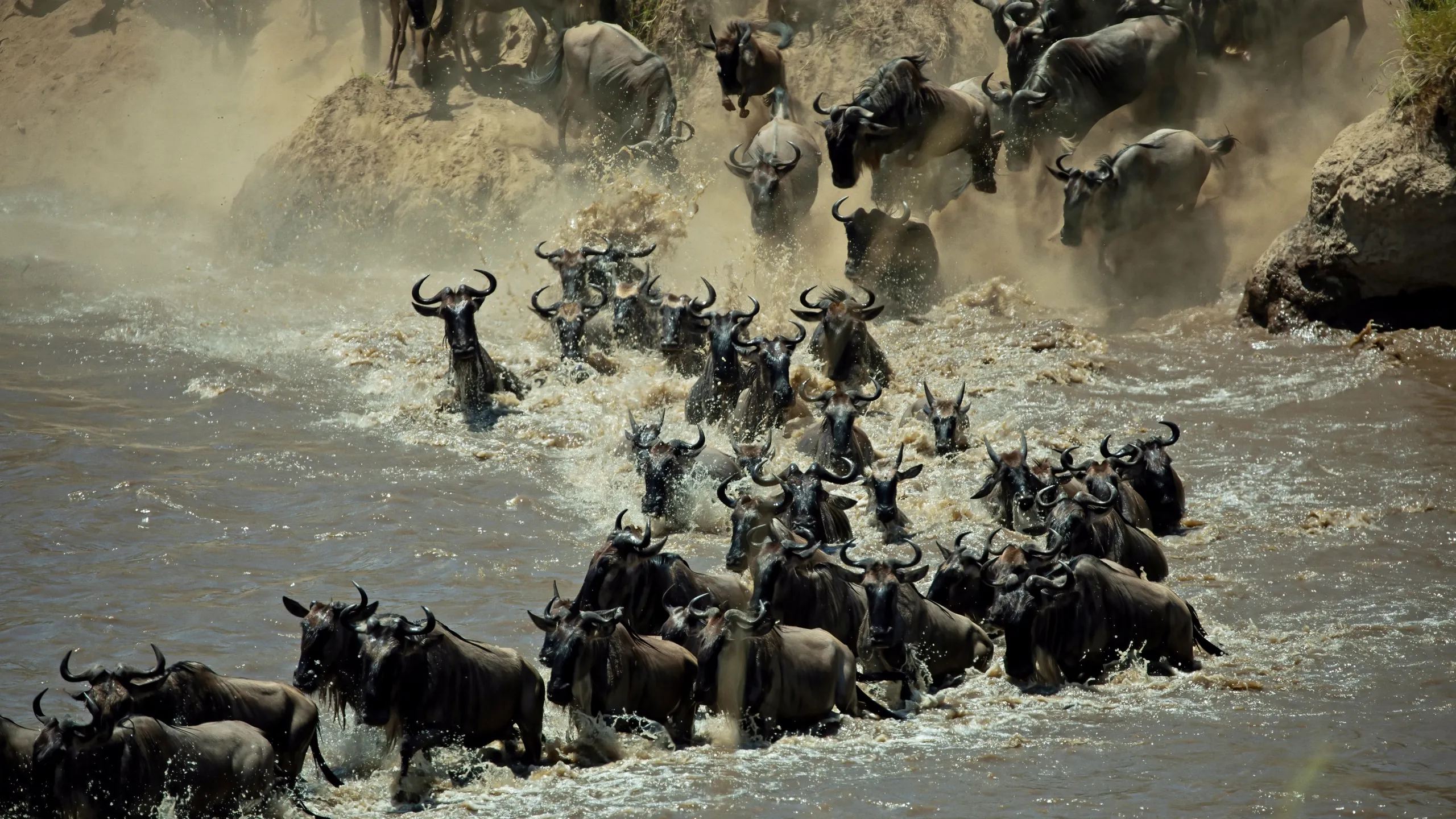 thumbnail - S1:E3 Mind of the Swarm