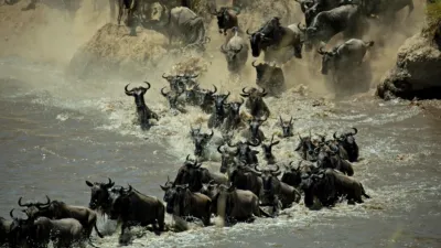 thumbnail - S1:E3 Mind of the Swarm