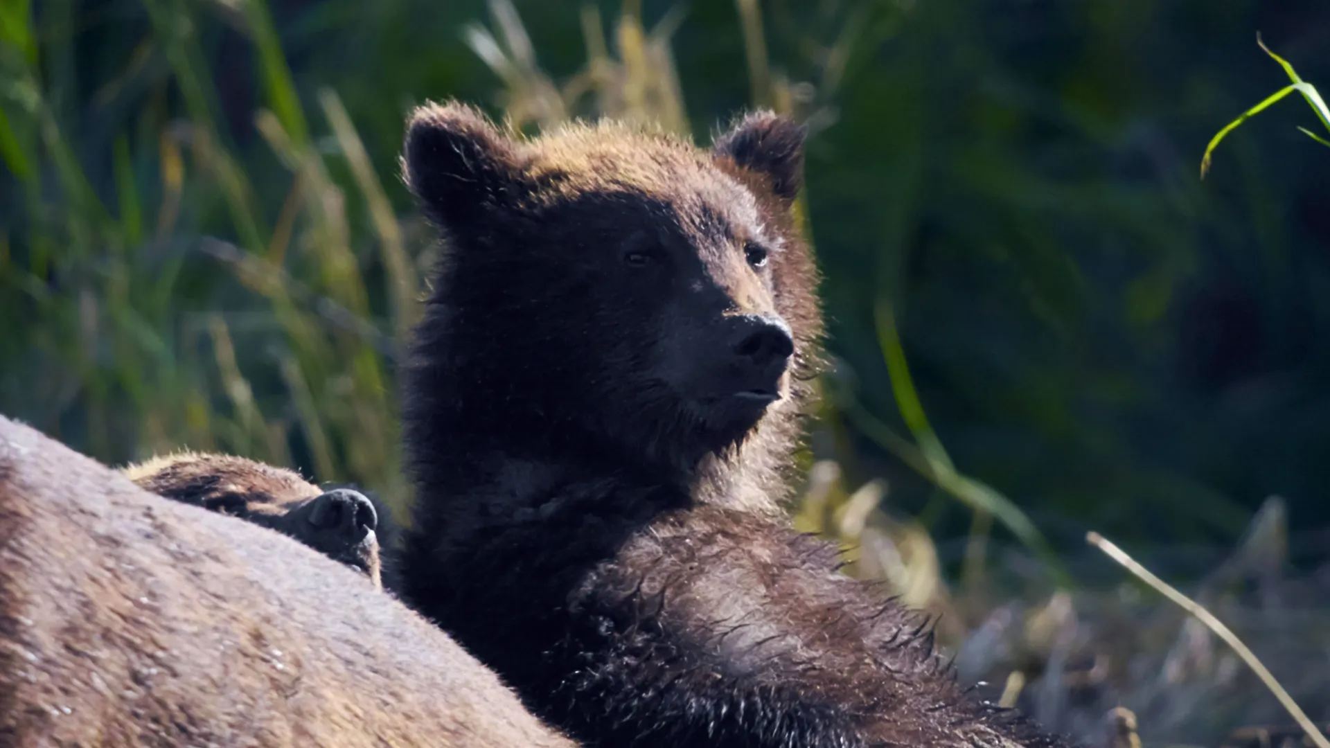 thumbnail - S1:E3 Rivers