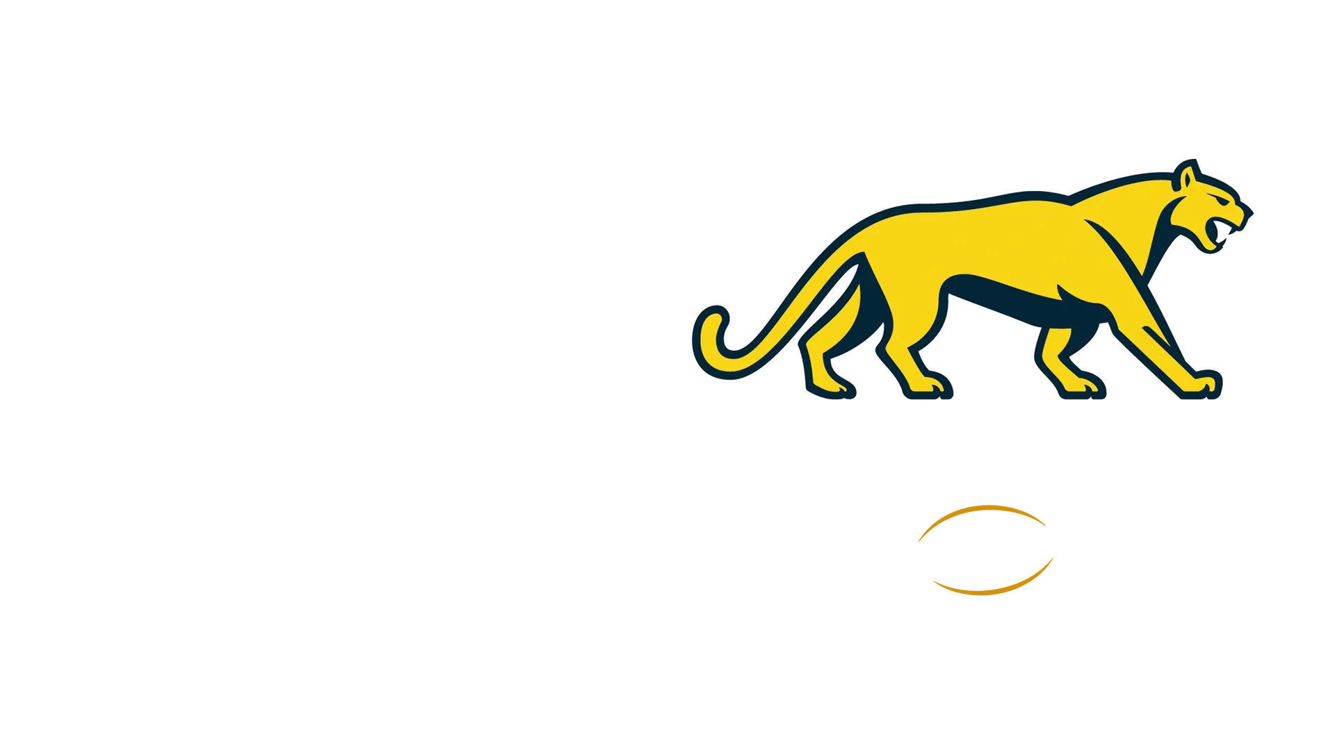 Escocia vs. Argentina