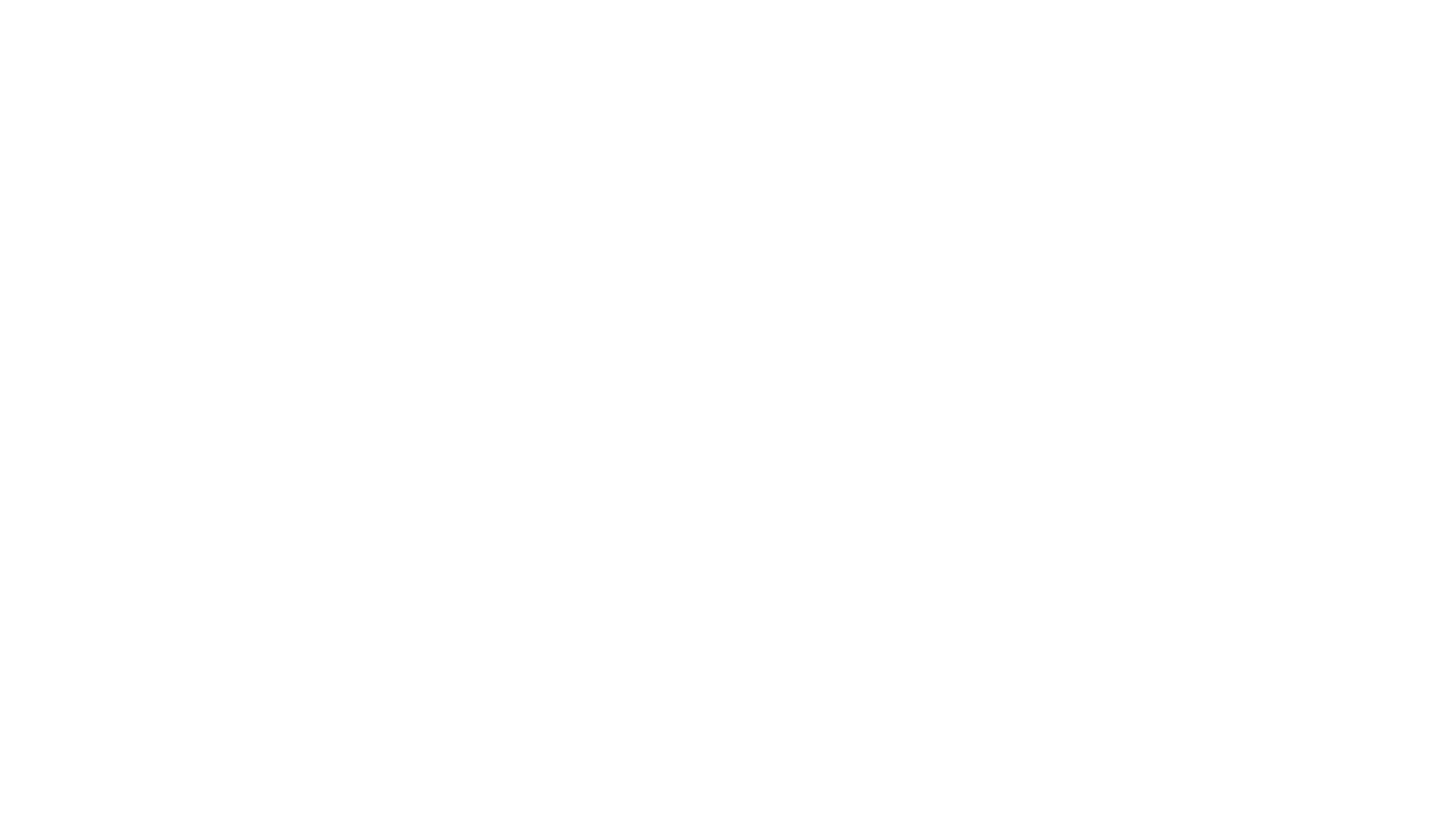 Los Protectores