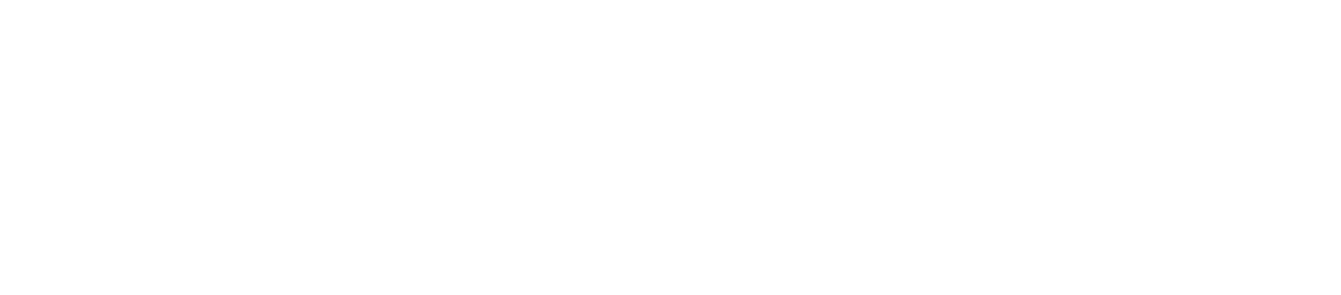 I'm Your Fan