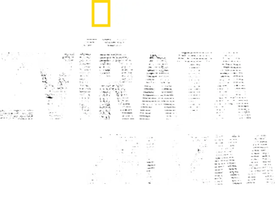 Zvířata zblízka s Bertiem Gregorym