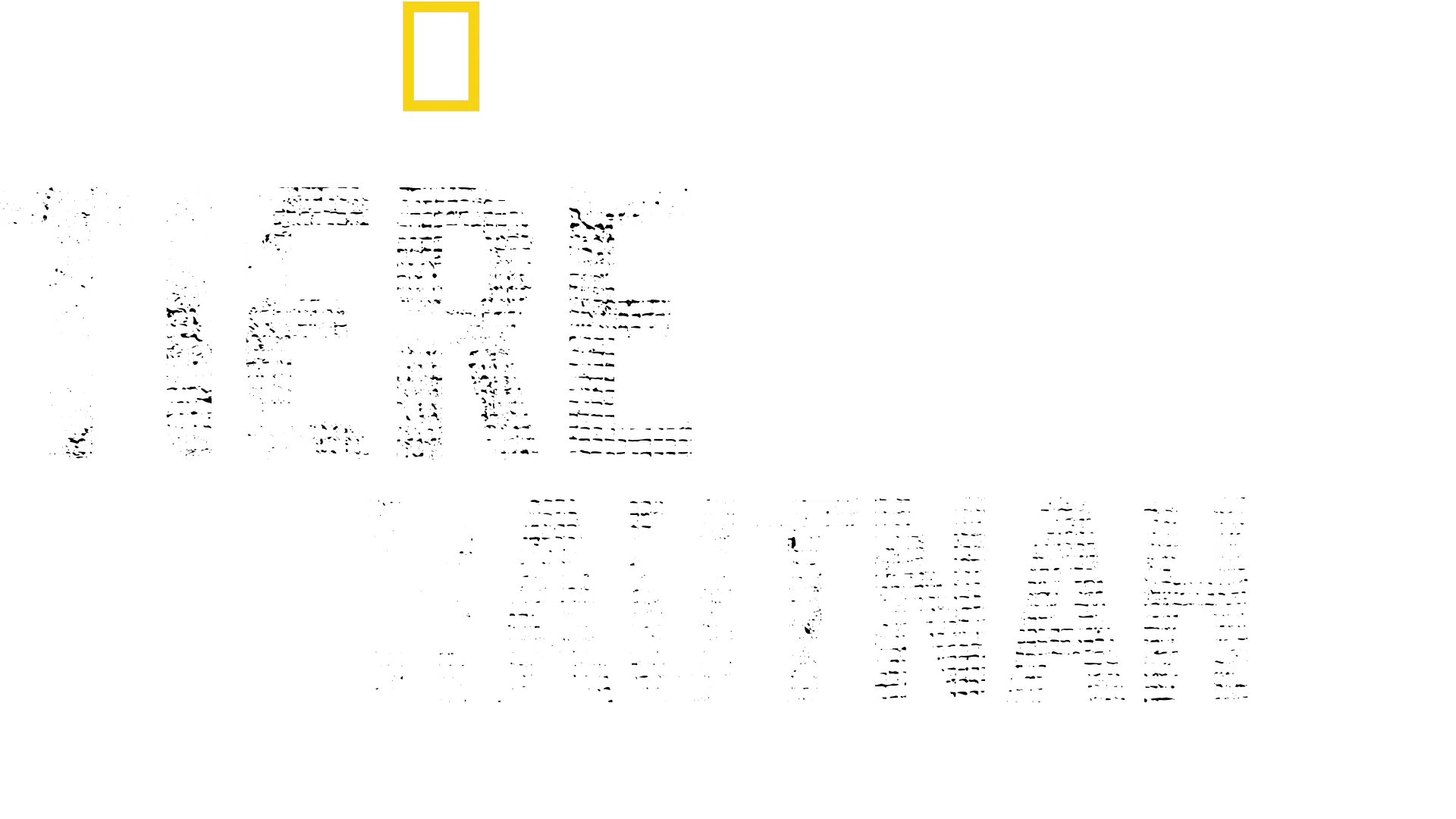 Tiere hautnah mit Bertie Gregory