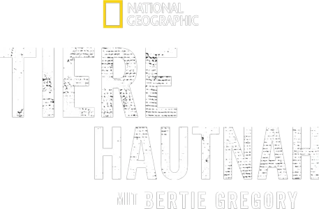 Tiere hautnah mit Bertie Gregory