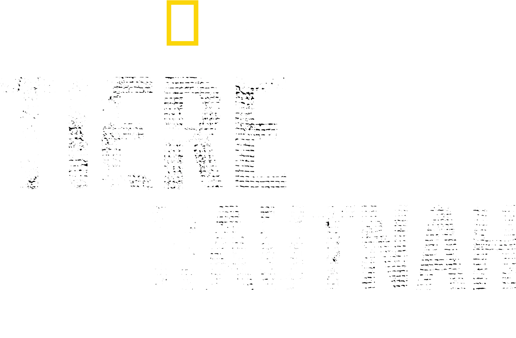 Tiere hautnah mit Bertie Gregory