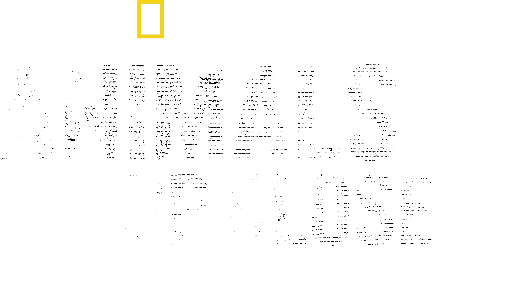 Animals Up Close with Bertie Gregory