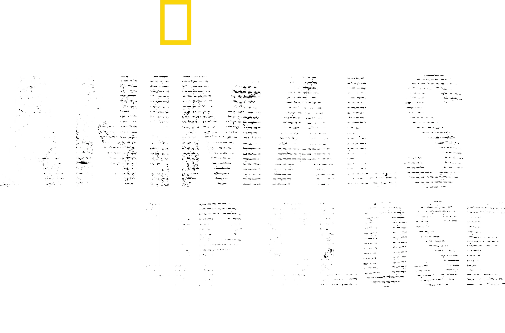 Animals Up Close with Bertie Gregory