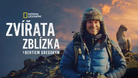 thumbnail - Zvířata zblízka s Bertiem Gregorym