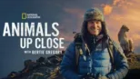 thumbnail - Animals Up Close with Bertie Gregory