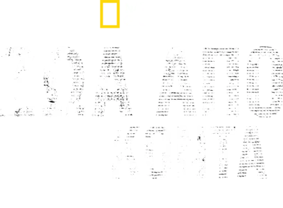 Ζώα Από Κοντά με τον Μπέρτι Γκρέγκορι