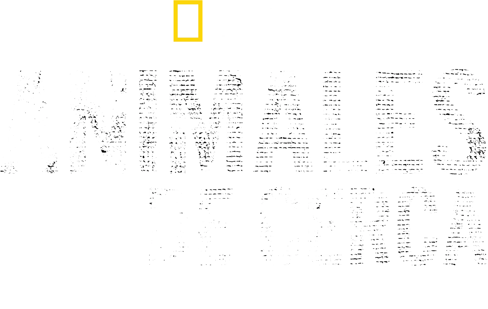 Animales de cerca con Bertie Gregory