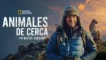 thumbnail - Animales de cerca con Bertie Gregory