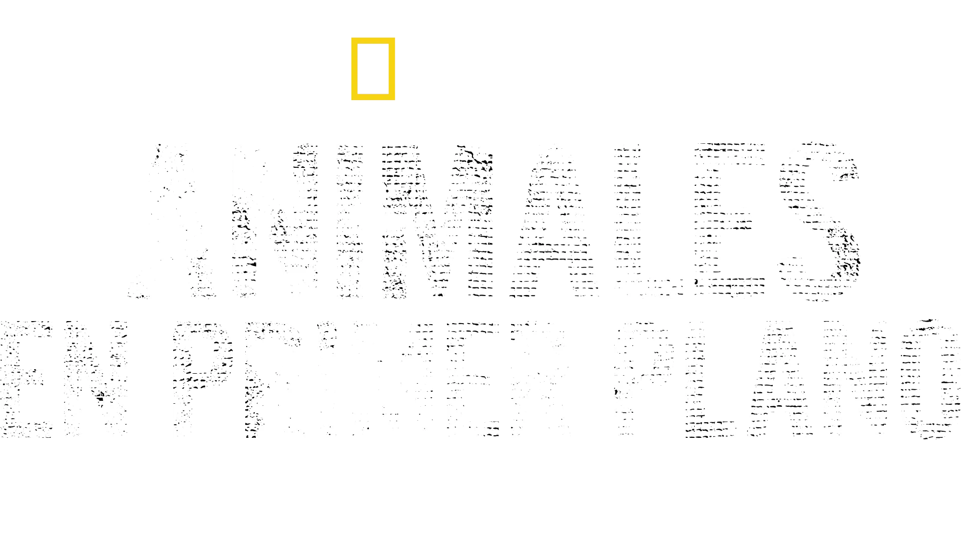 Animales en primer plano con Bertie Gregory