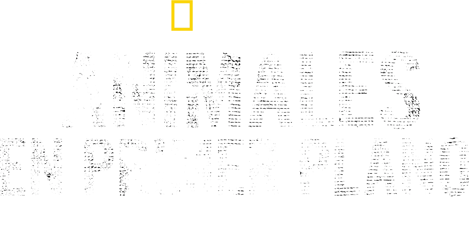 Animales en primer plano con Bertie Gregory