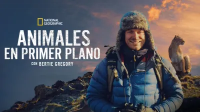 Animales en primer plano con Bertie Gregory