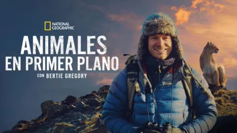 thumbnail - Animales en primer plano con Bertie Gregory