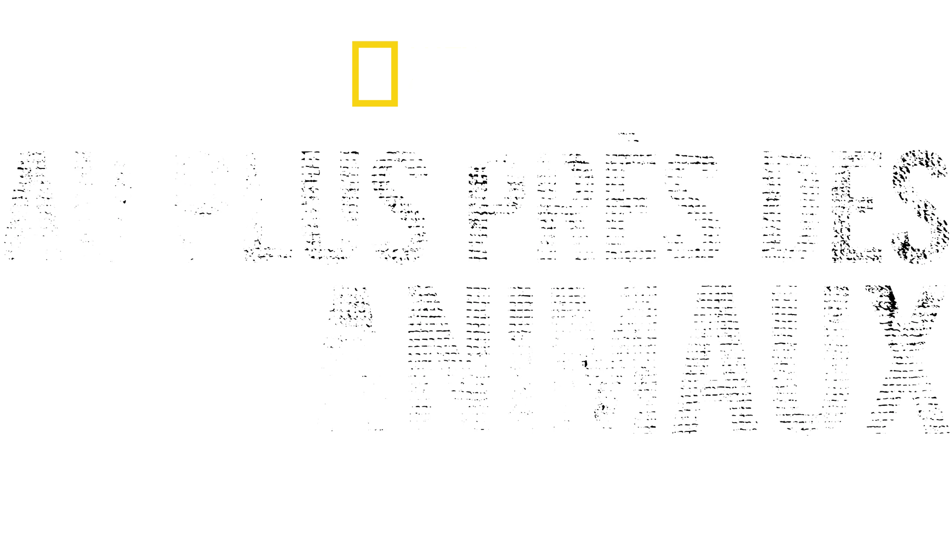 Au plus près des animaux avec Bertie Gregory