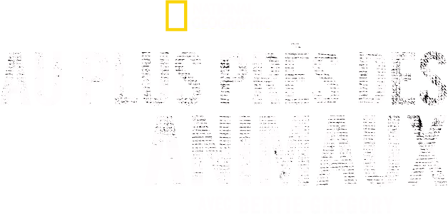 Au plus près des animaux avec Bertie Gregory
