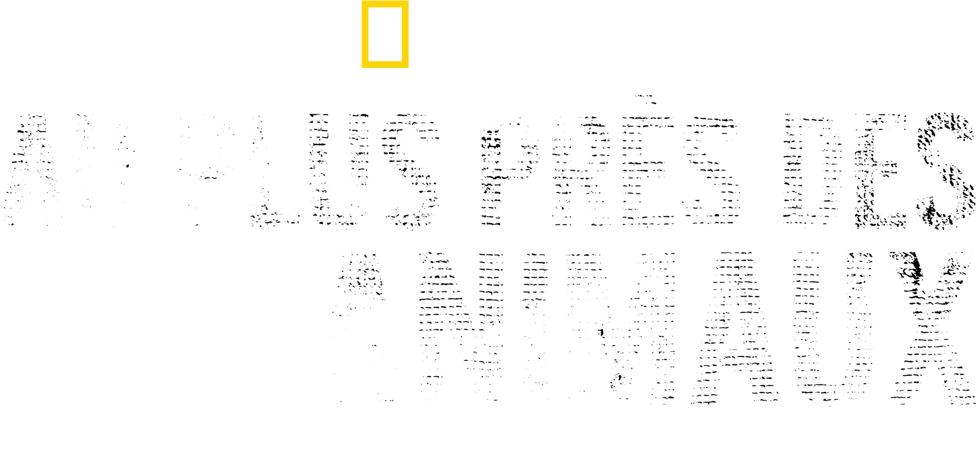 Au plus près des animaux avec Bertie Gregory