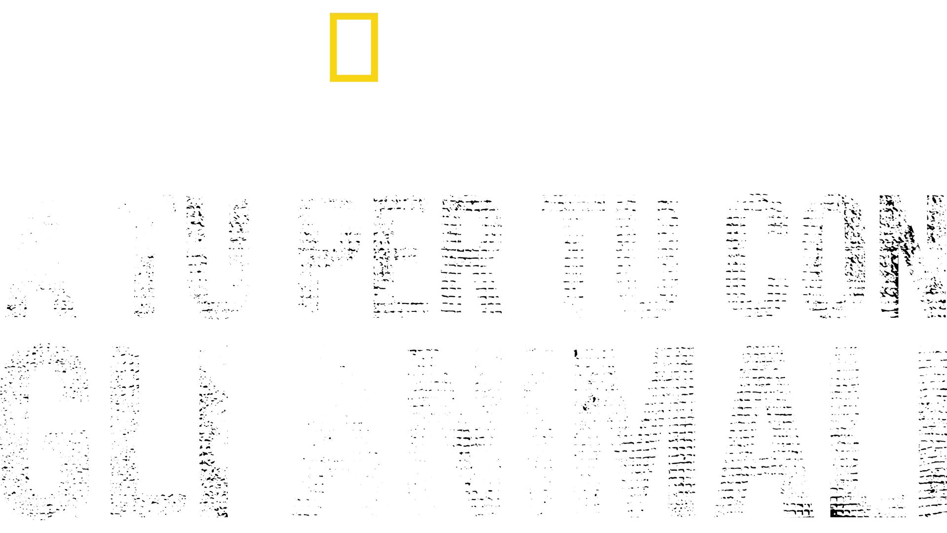 Bertie Gregory: a tu per tu con gli animali